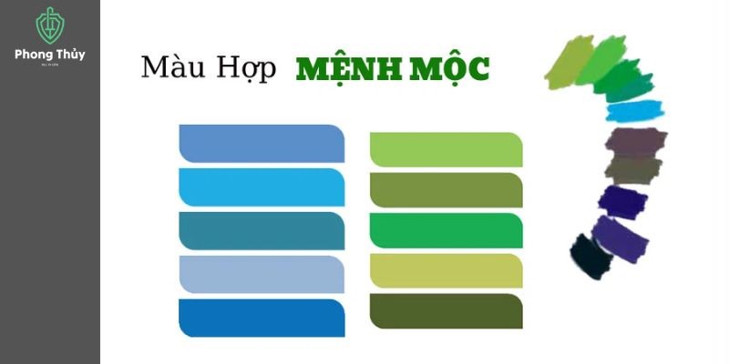 Màu hợp mệnh Mộc